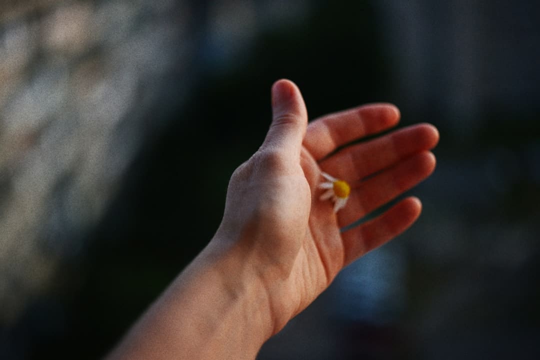 极兔市值赶超京东物流，满帮挺进前三，闪送缩水超60%，物流科技重构资本叙事